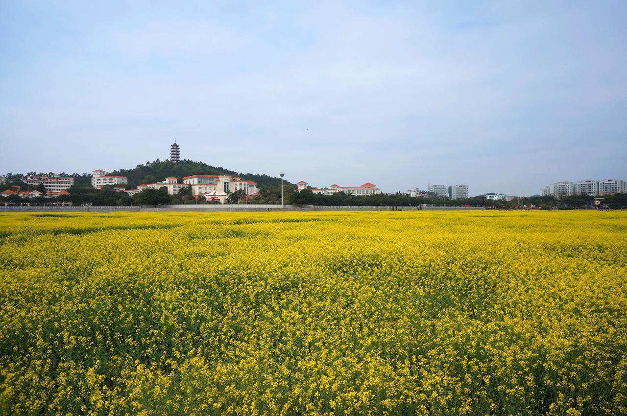 Dongguan Goodview Hotel Sangem Qiaotou Экстерьер фото